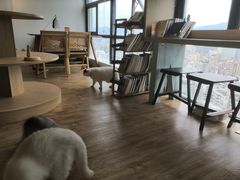 大堂-猫小主咖啡·猫咖cat cafe(福田店)