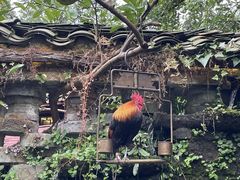 -青城甲(青城山店)