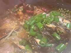 -杉杉奥特莱斯广场(哈尔滨店)