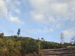 -深圳仙湖植物园