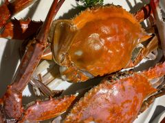 -开海·红岛海鲜虾水饺(石老人店)