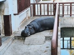 -青藏高原野生动物园