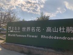 -名花谷生态庄园