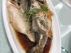 -双井轩(双井店)