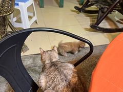 -鱼乐岛餐厅·户外花园主题餐厅