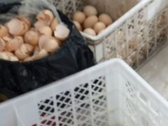 -晨汐石苑·清真菜农家院