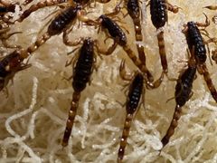 -二当家山庄(崮五路店)