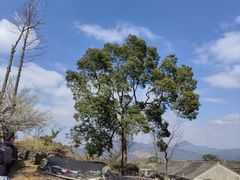 -许家山