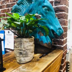 -P.STYLE 派斯造型