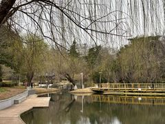 -泰州凤城河风景区-泰山公园