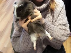 -藦茜花园宠物主题亲子互动体验馆(国顺东路店)