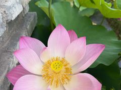 -昆山城市生态森林公园