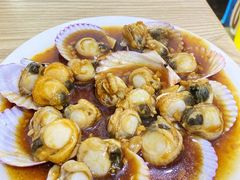 蚝油扇贝-九龙餐厅(大沽路店)