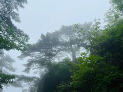 -黄山风景区