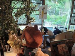 -咖法森林·咖啡  酒吧(天河店)