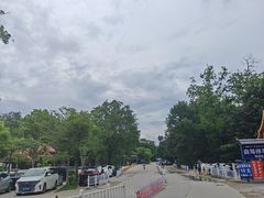 -西双版纳傣族园