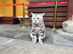 -龙华寺