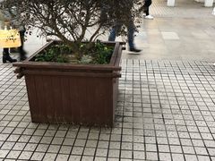 -CoCo都可(小吕宋店)