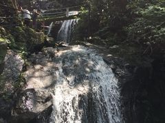 -藏龙百瀑风景区