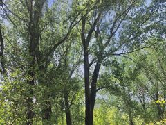 -国家植物园南园