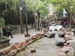 -黄龙溪古镇