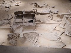 -洛阳周王城天子驾六博物馆