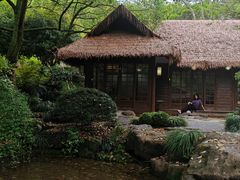 -中国茶叶博物馆(双峰馆区)