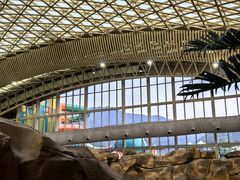 -杭州开元森泊度假乐园