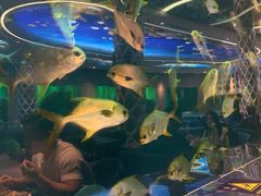 -瑞德姆美人鱼海底演艺主题餐厅(亚龙湾店)