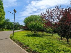 -永定河休闲森林公园