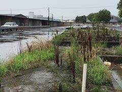 -胜华驾校·小猫学车(银都店)