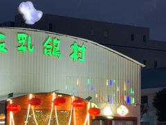 -石岐乳鸽村(桥观坊南四巷店)
