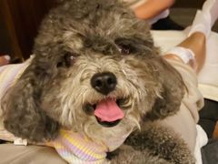 -大桶大足浴(沪南店)