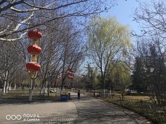 -丰台科技园生态主题公园