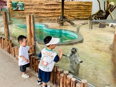 -福州罗源湾海洋世界旅游区