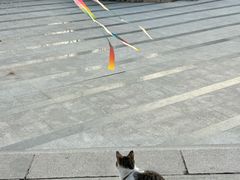 -石老人观光园
