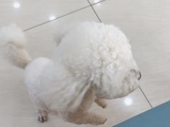 -美联众合动物医院·24h京西诊疗中心