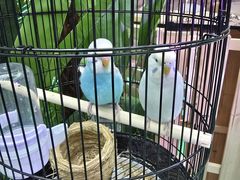 -万达广场(龙湖店)