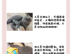-FAELING PETS美天灵宠物(合生汇店)