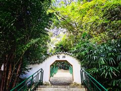 -中山公园(石岐街道)