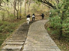 -金龙寺国家森林公园