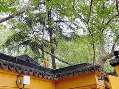 -西园戒幢律寺