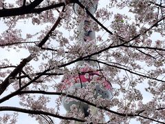 -东方明珠广播电视塔