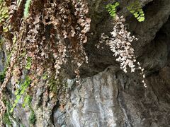 -东南悬空寺方广岩