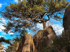 -黄山风景区