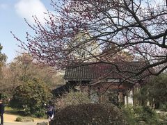 -杭州植物园