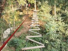 -梦幻奥陶纪景区