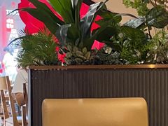 -霸王茶姬(正佳广场店)