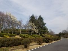 -宜兴龙背山森林公园