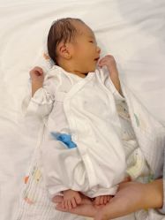 -海豚湾高端月子会所(黄浦店)